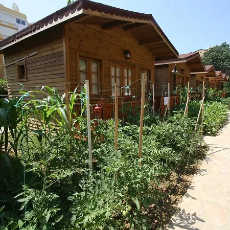 Sevkibey 3*