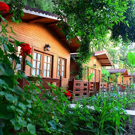 Отель Sevkibey 3*