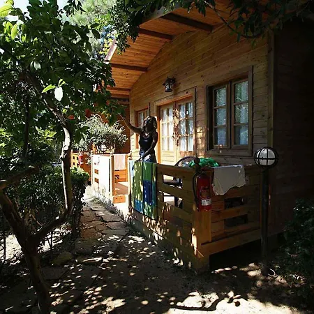 Отель Sevkibey