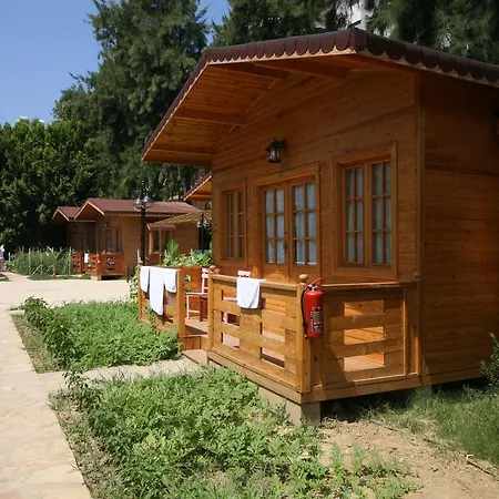 Sevkibey 3* Алания