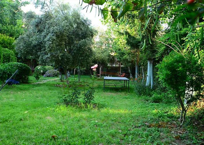Hotel Sevkibey 3*