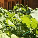 فندق Sevkibey