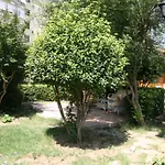 Sevkibey 3*
