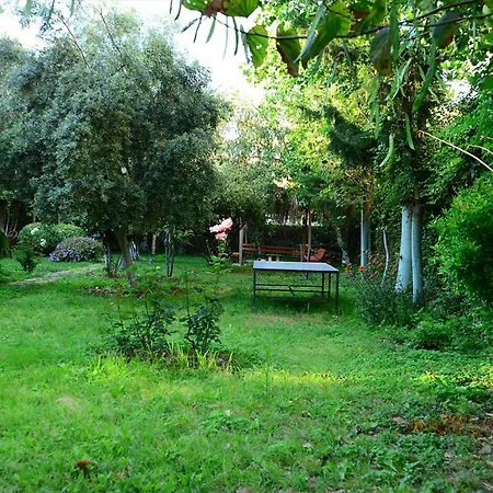 Hotel Sevkibey 3*