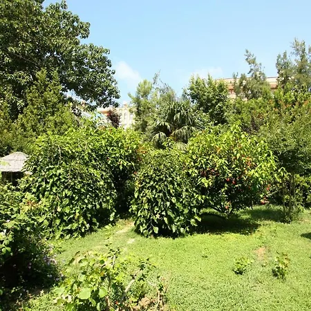 Otel Sevkibey Alanya