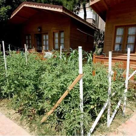 Sevkibey ألانيا