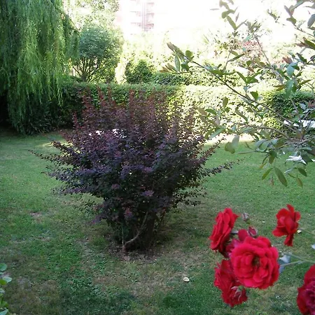 Sevkibey ألانيا