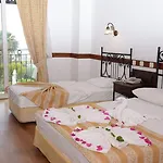فندق Sevkibey 3*